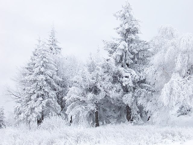 These songs will keep you warm and toasty.