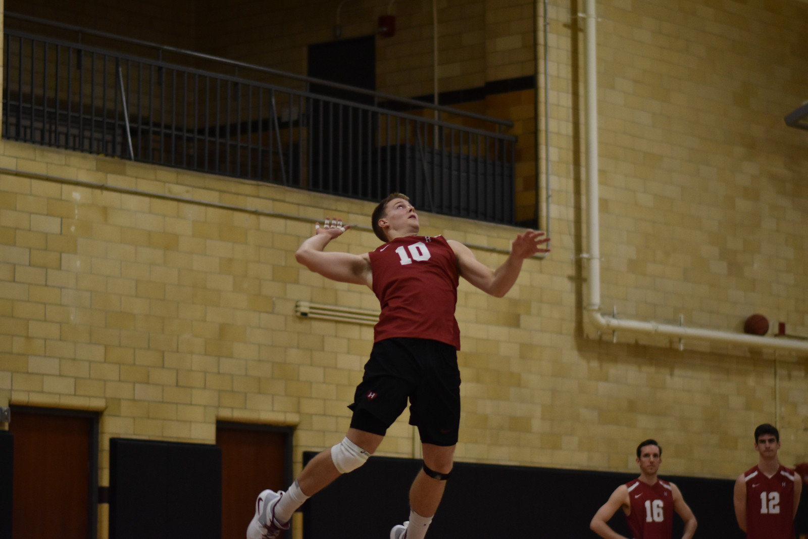 Setter Matthew Ctvrtlik prepares to spike the volleyball in February's game against Purdue Fort Wayne.