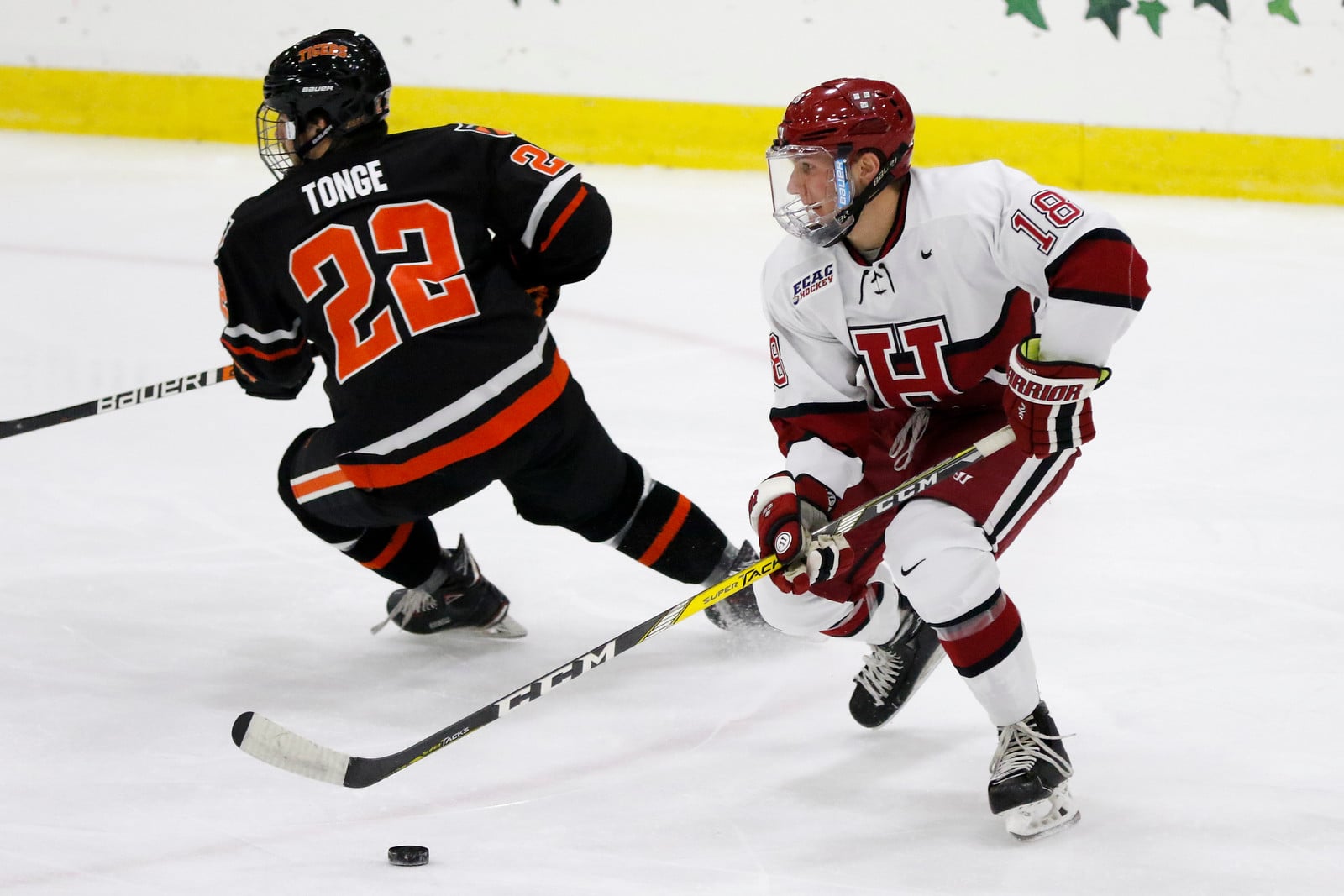 Fox's expert puck-moving and nifty stick skills separated him from most of the competition during his time in the ECAC.