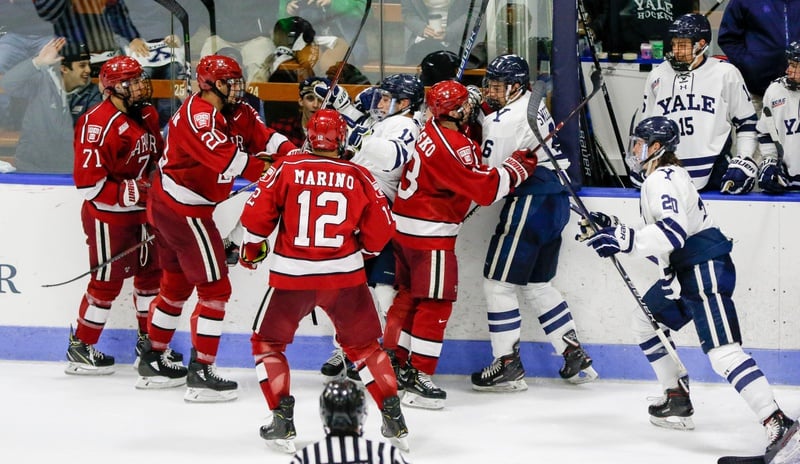 Flying fists are par for the course when Harvard clashes with Yale, and its two contests this season were no exception.