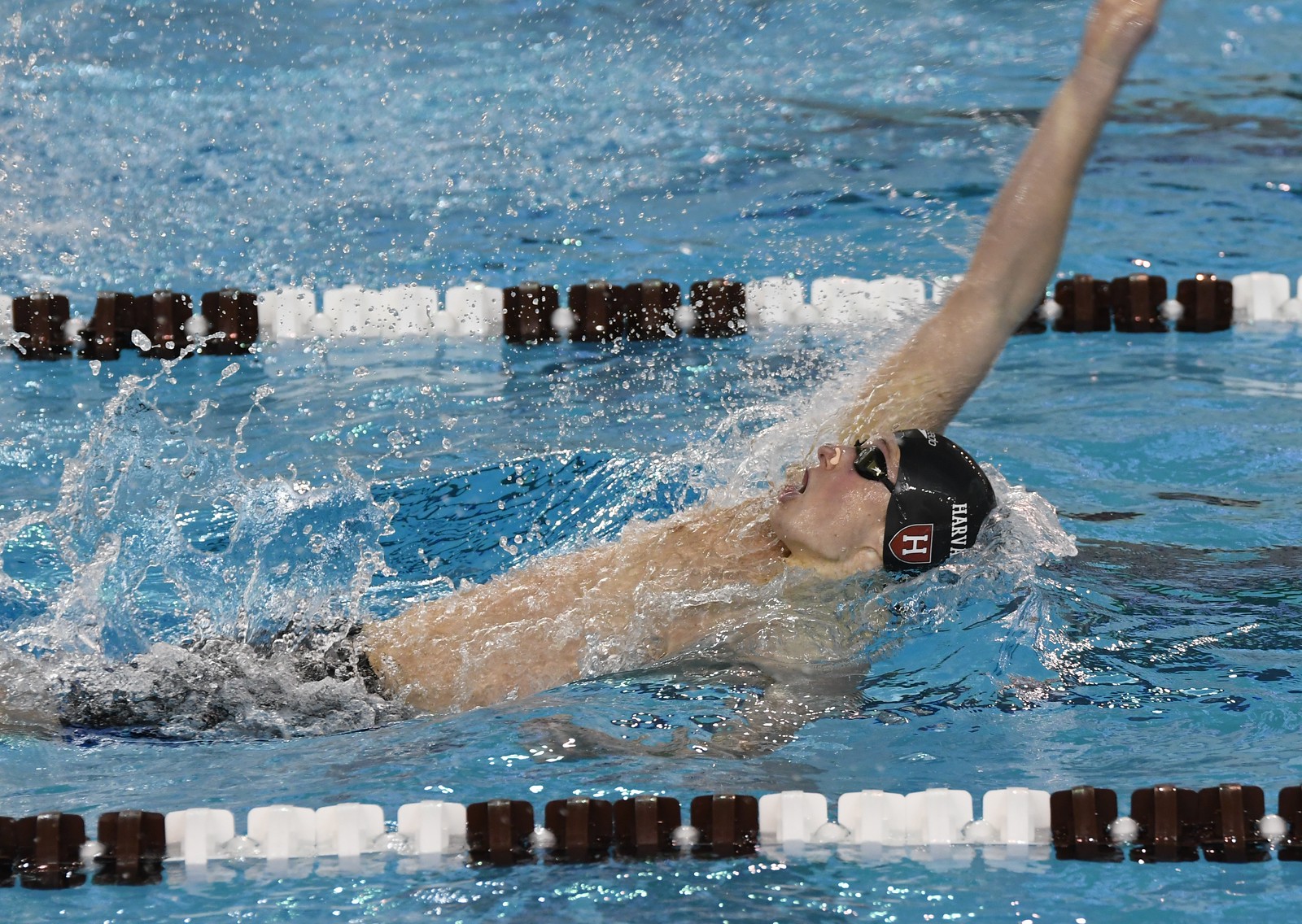 Farris has excelled in both the freestyle and backstroke throughout his collegiate career.
