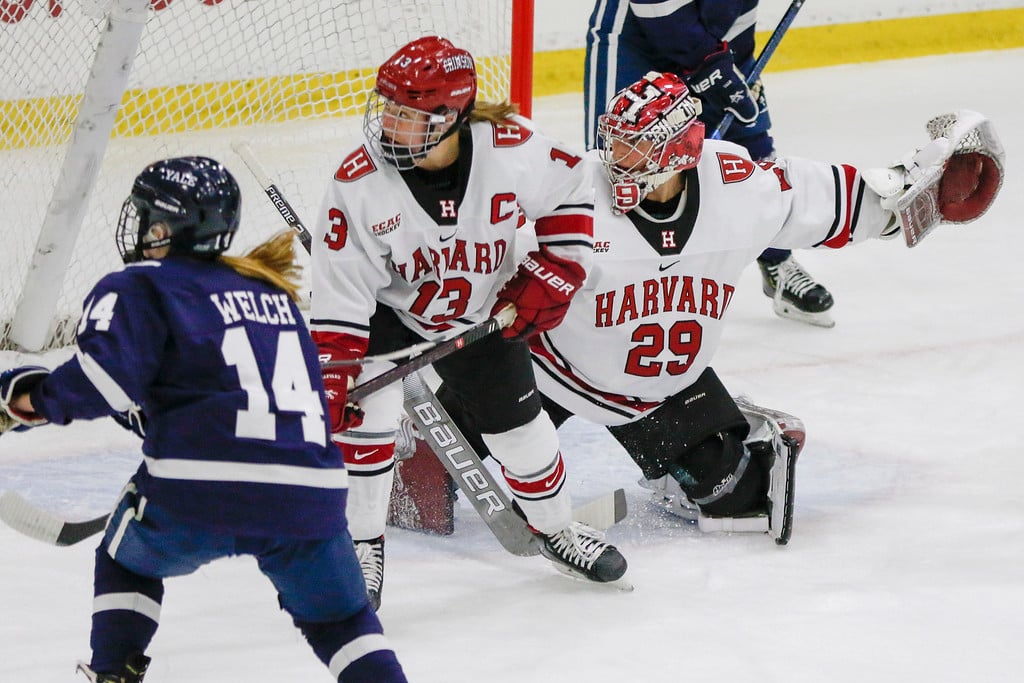 Harvard sophomore goalie Lindsay Reed defends the Crimson net in this weekend's win against Yale.