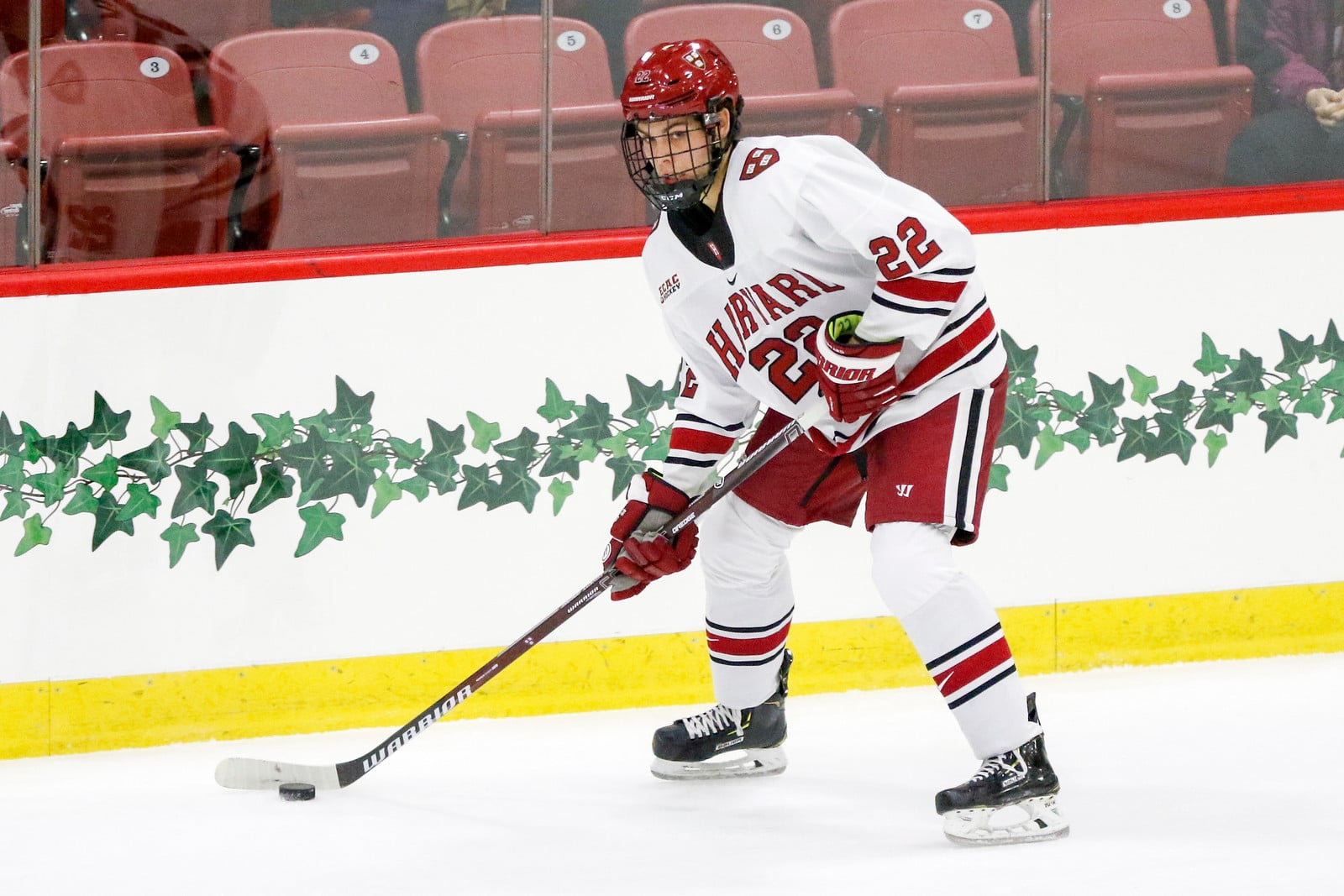 Freshman blue-liner Ryan Siedem has been tasked with a top-four role to open the Crimson's season.