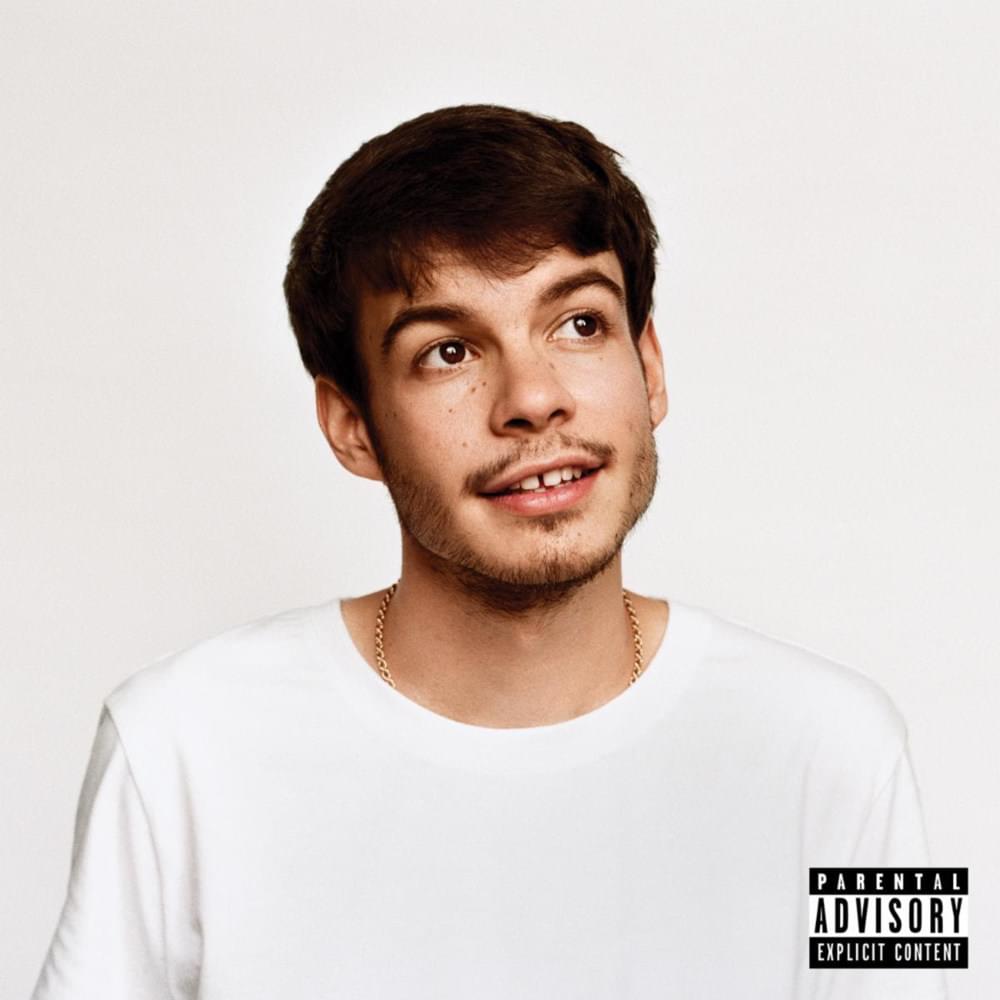 Album art for Rex Orange County's "Pony."