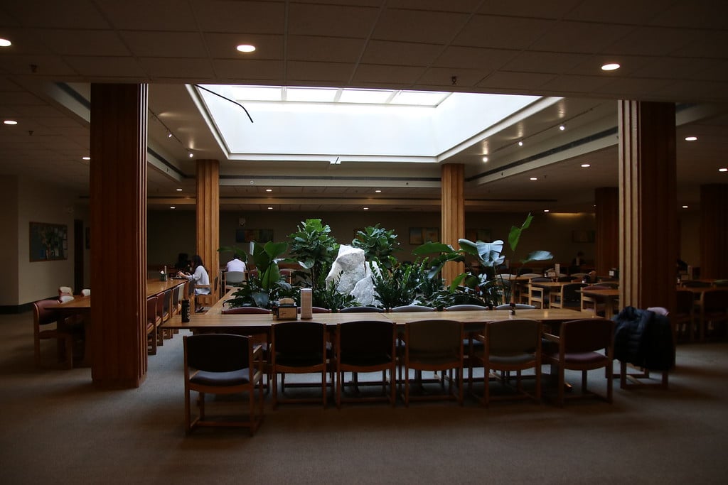 Currier House's beloved dining hall, at its least busy.