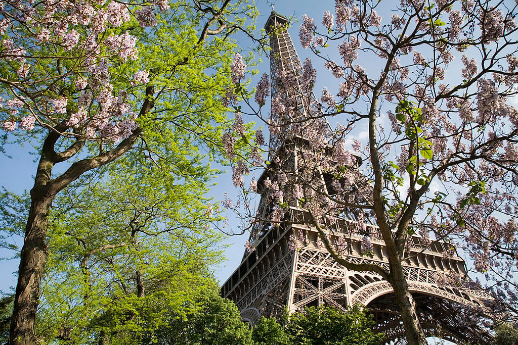 The Eiffel Tower in spring: the perfect place to listen to this beautiful playlist!