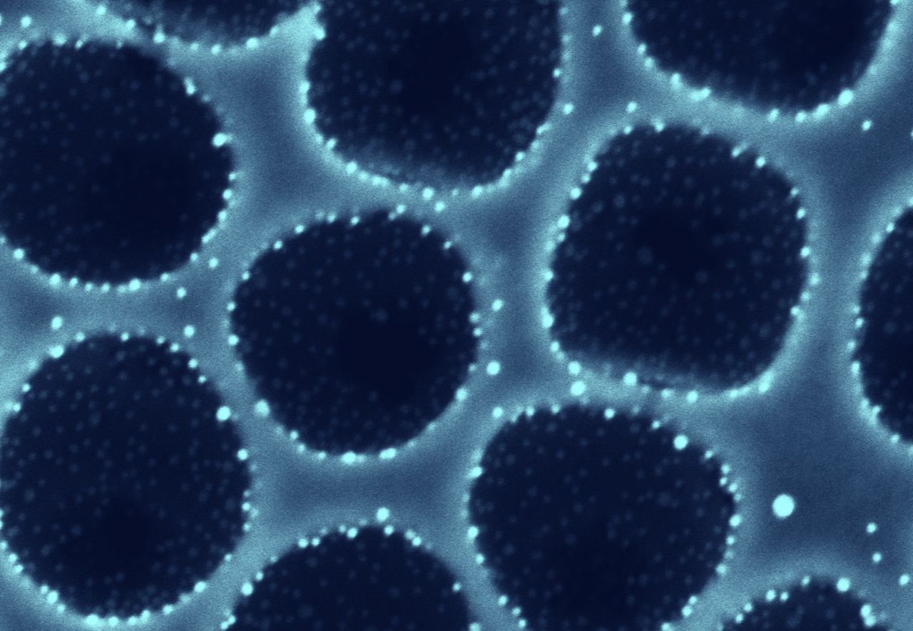 Researchers at Harvard's Wyss Institute developed technology that could be used to filter viruses like COVID-19 from the air.