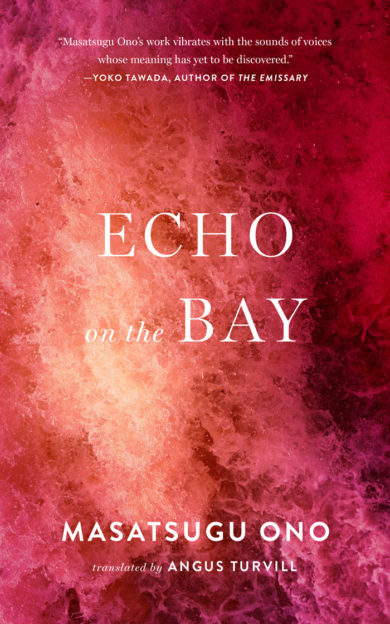 Cover art for "Echo on the Bay."
