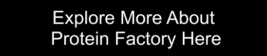 Cover image for https://proteinfactory.com/