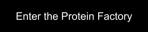 Cover image for https://proteinfactory.com/