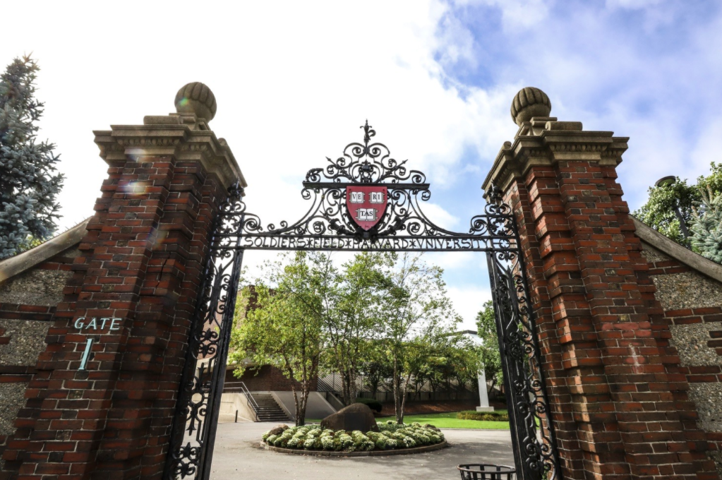 Peter Woodfork '99 won three Ivy League championships as a player at Harvard, and he will hope to have that same kind of success as he presides over MLB's player development.