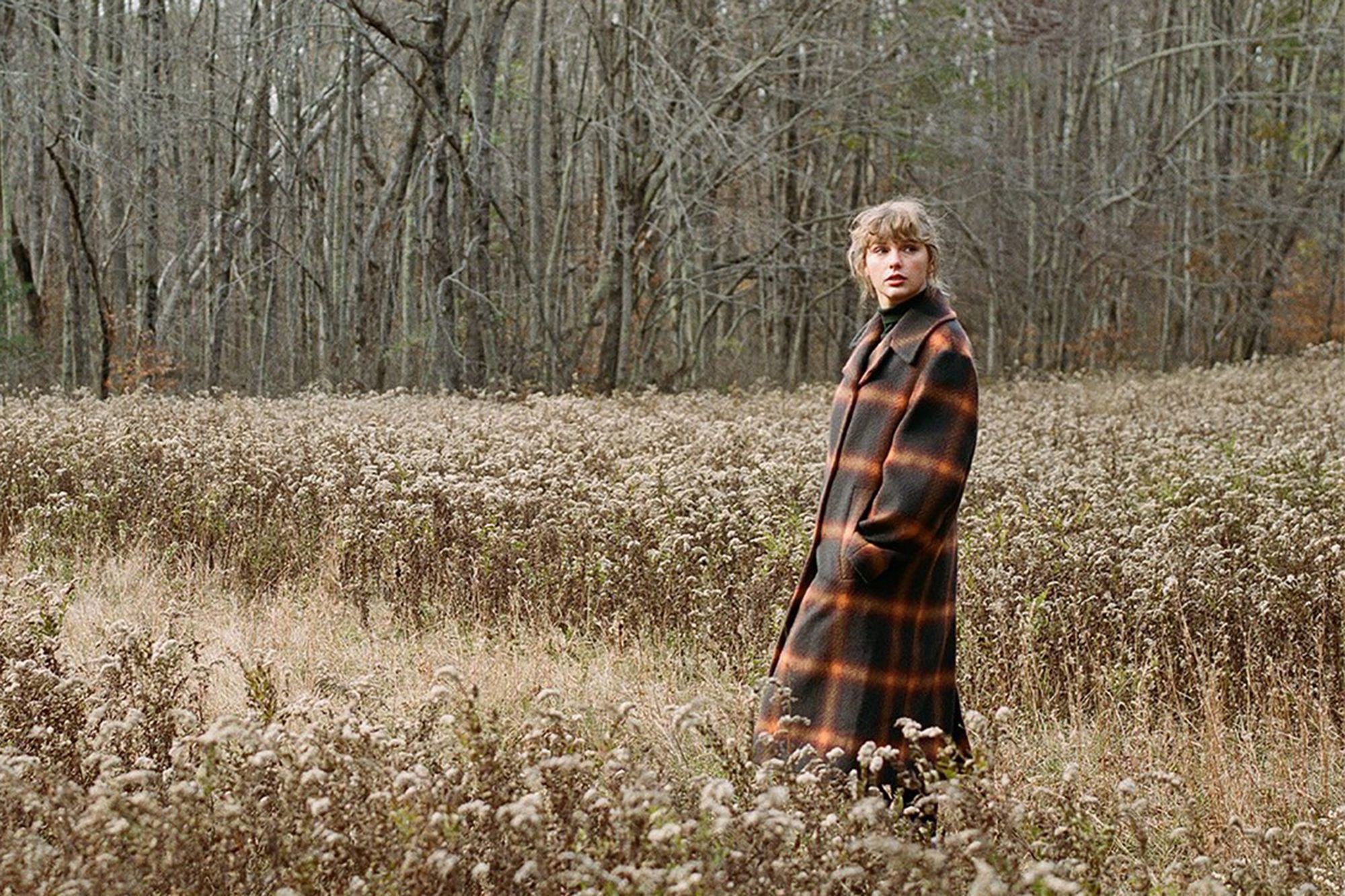 Promotional art for Taylor Swift's "evermore"
