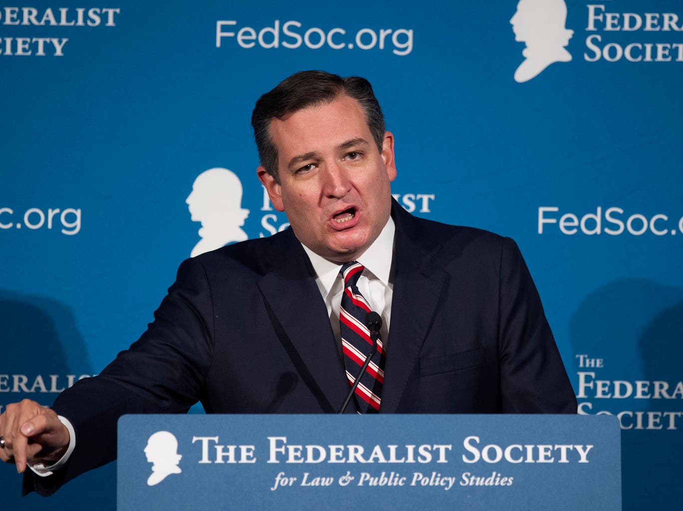 Senator Ted Cruz speaks at the Federalist Society National Lawyers Convention in 2016.