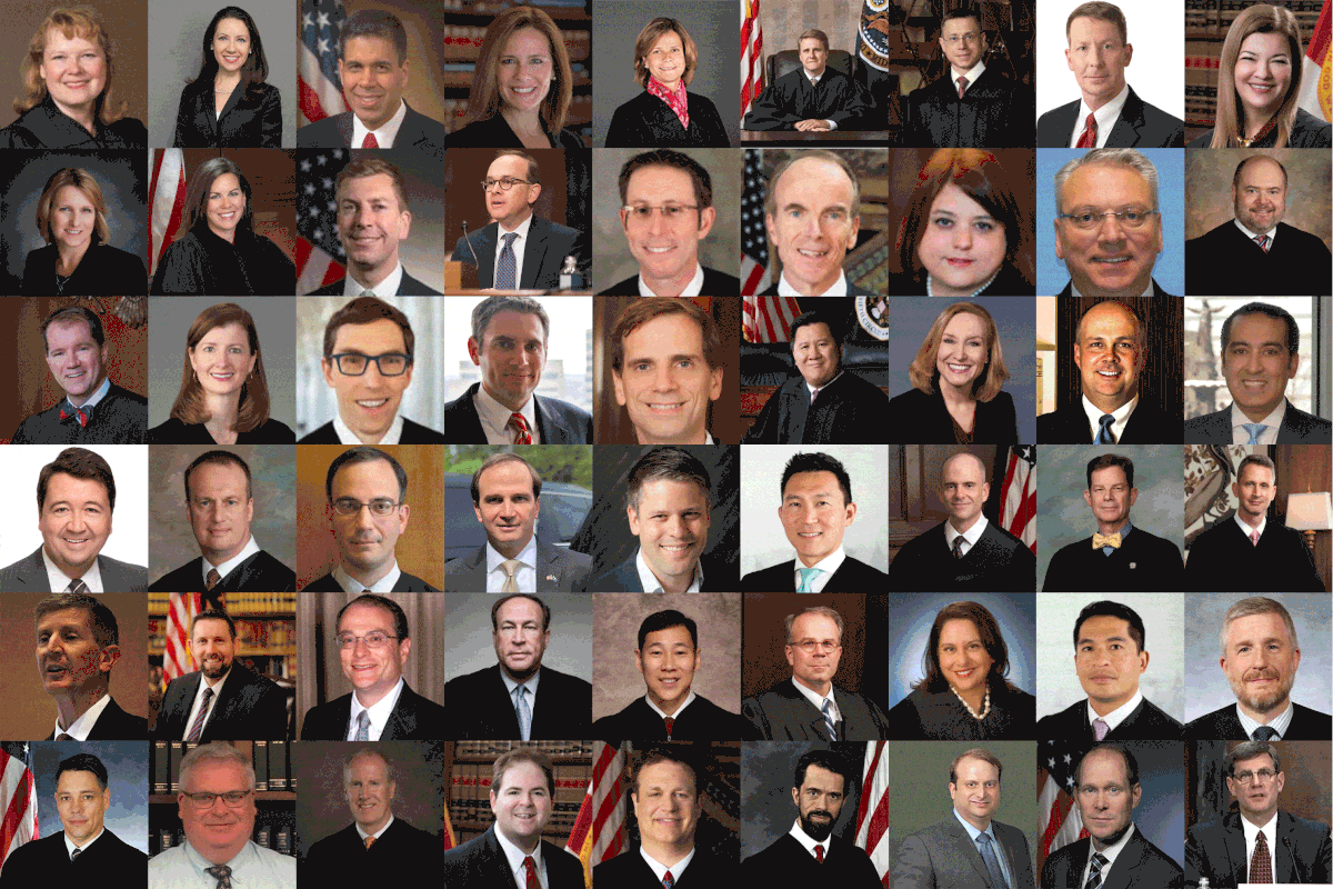 Donald Trump appointed 30 percent of the U.S. Court of Appeals, and of those eleven — more than one-fifth of Trump's nominees — attended HLS. All 11 have ties to the Federalist Society.