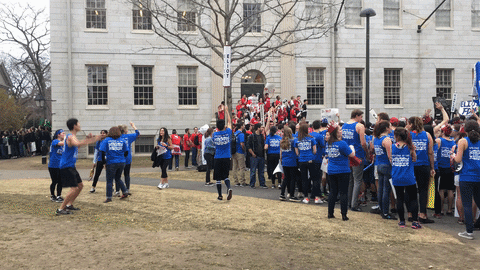 Housing Day GIF