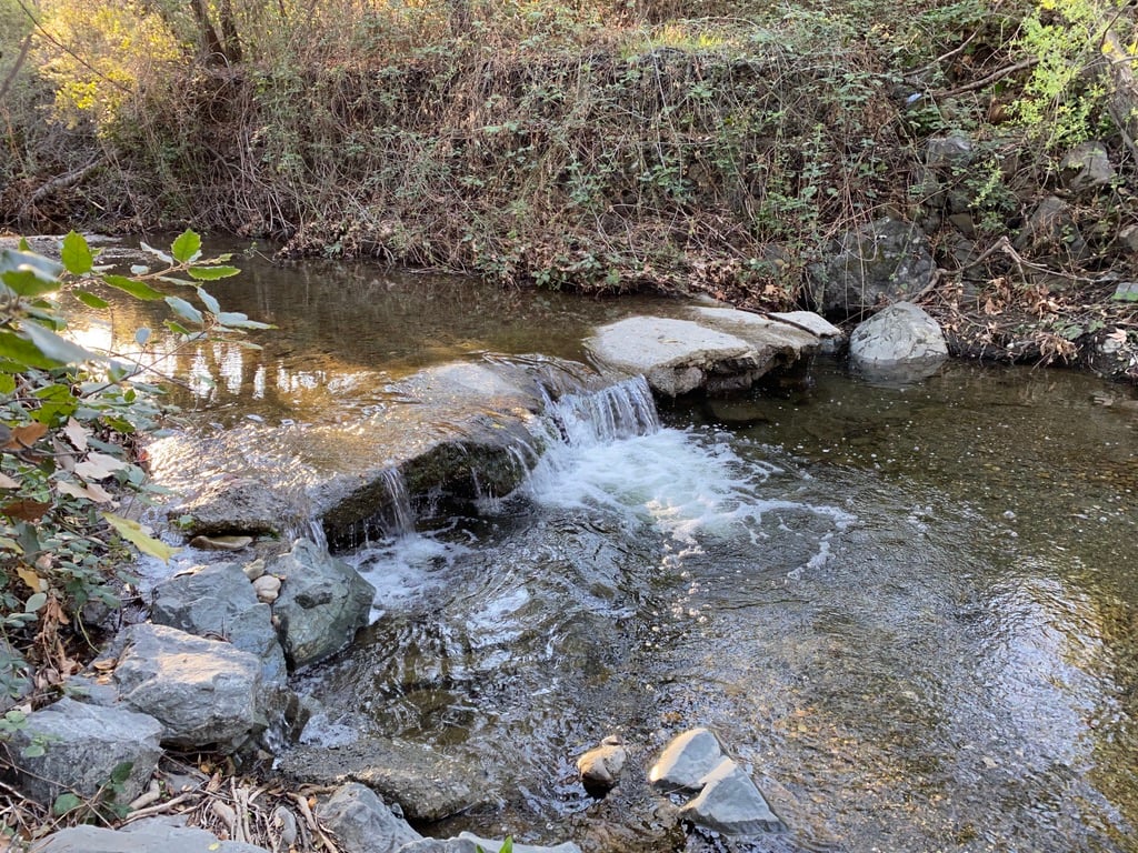 A waterfall on Saratoga Creek, which runs through the author's hometown — her favorite place to slow down and decompress.