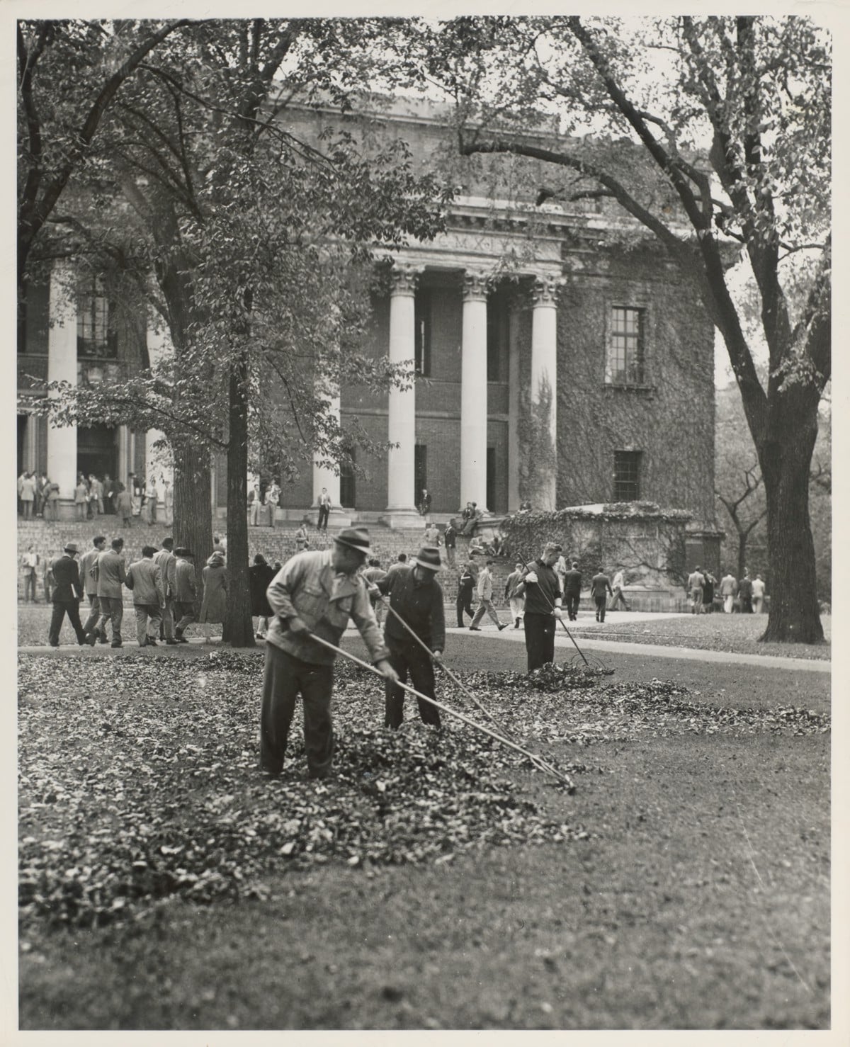 Raking Leaves in Harvard Yard, 1946. HUV 20 (17-2). olvwork361420.