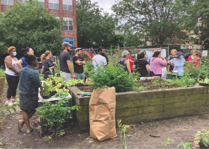 A group of gardeners congregates around a plot at the Squirrel Brand Community Garden.
