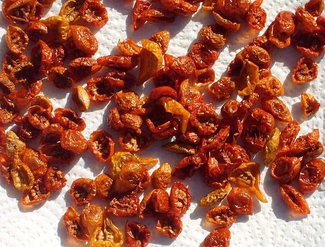 Tomatoes drying in sun on a paper towel.