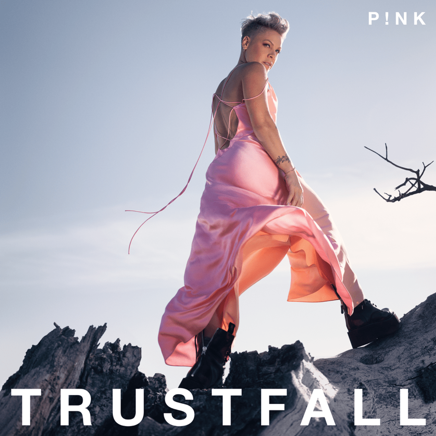 P!NK released 'TRUSTFALL' on Feb. 17