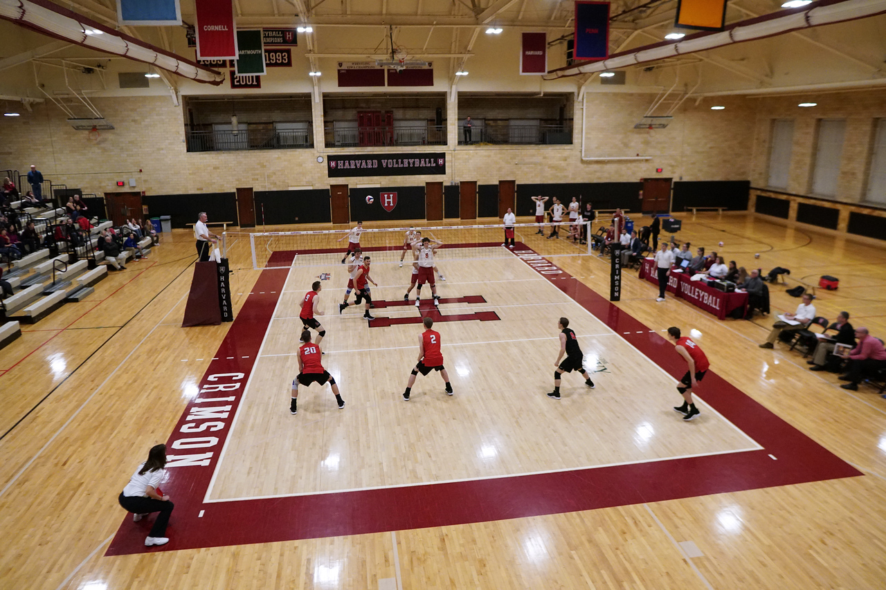 On Feb. 1 in 2019, the Harvard men's volleyball team competes against Ball State University, which the Crimson lost 3-2. Harvard has two more games, both against George Mason, before it will head to the EIVA Tournament from Apr. 19-22.