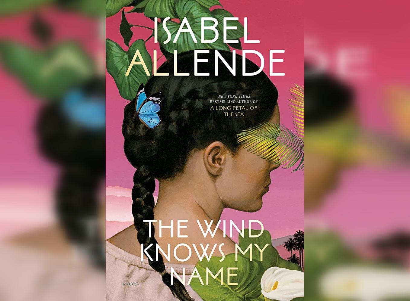 Cover of Isabel Allende's "The Wind Knows My Name."
