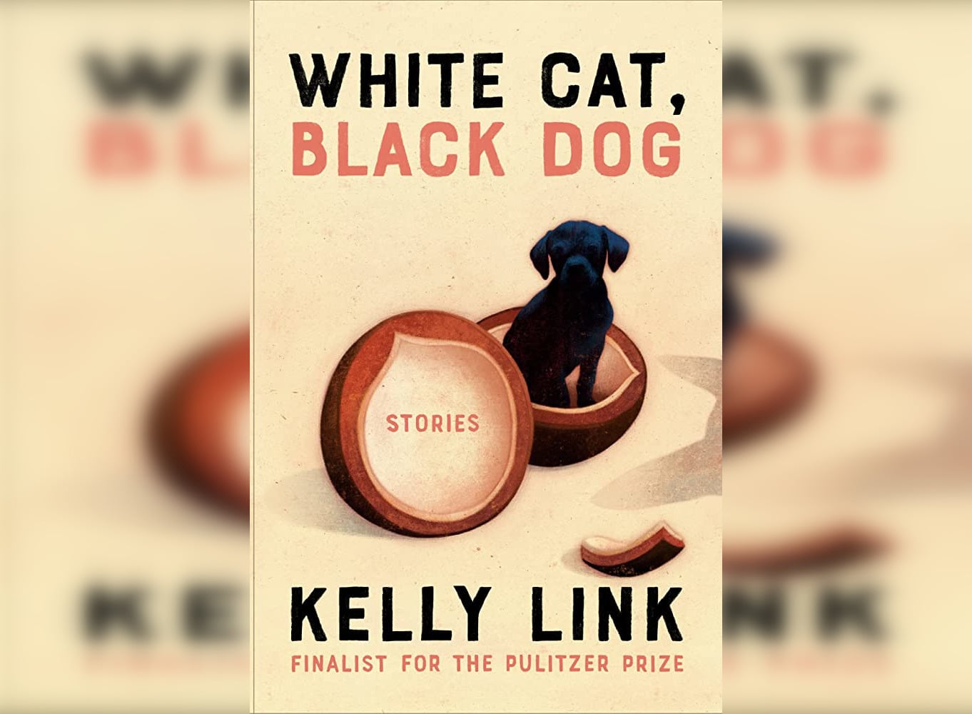 Cover of Kelly Link's "White Cat, Black Dog."
