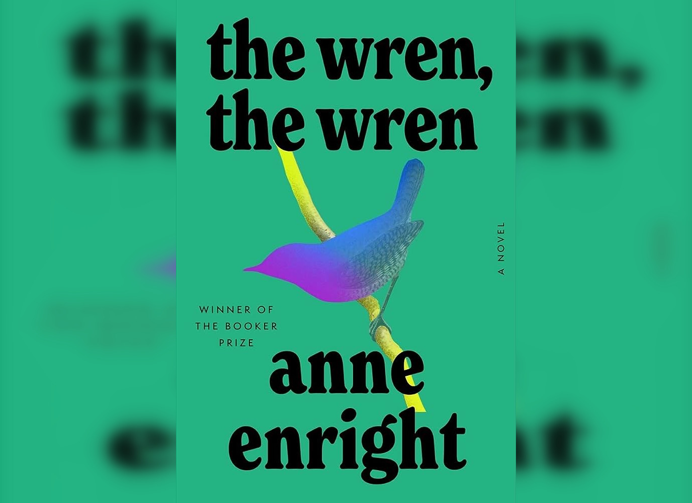 Cover of Anne Enright's "The Wren, The Wren."