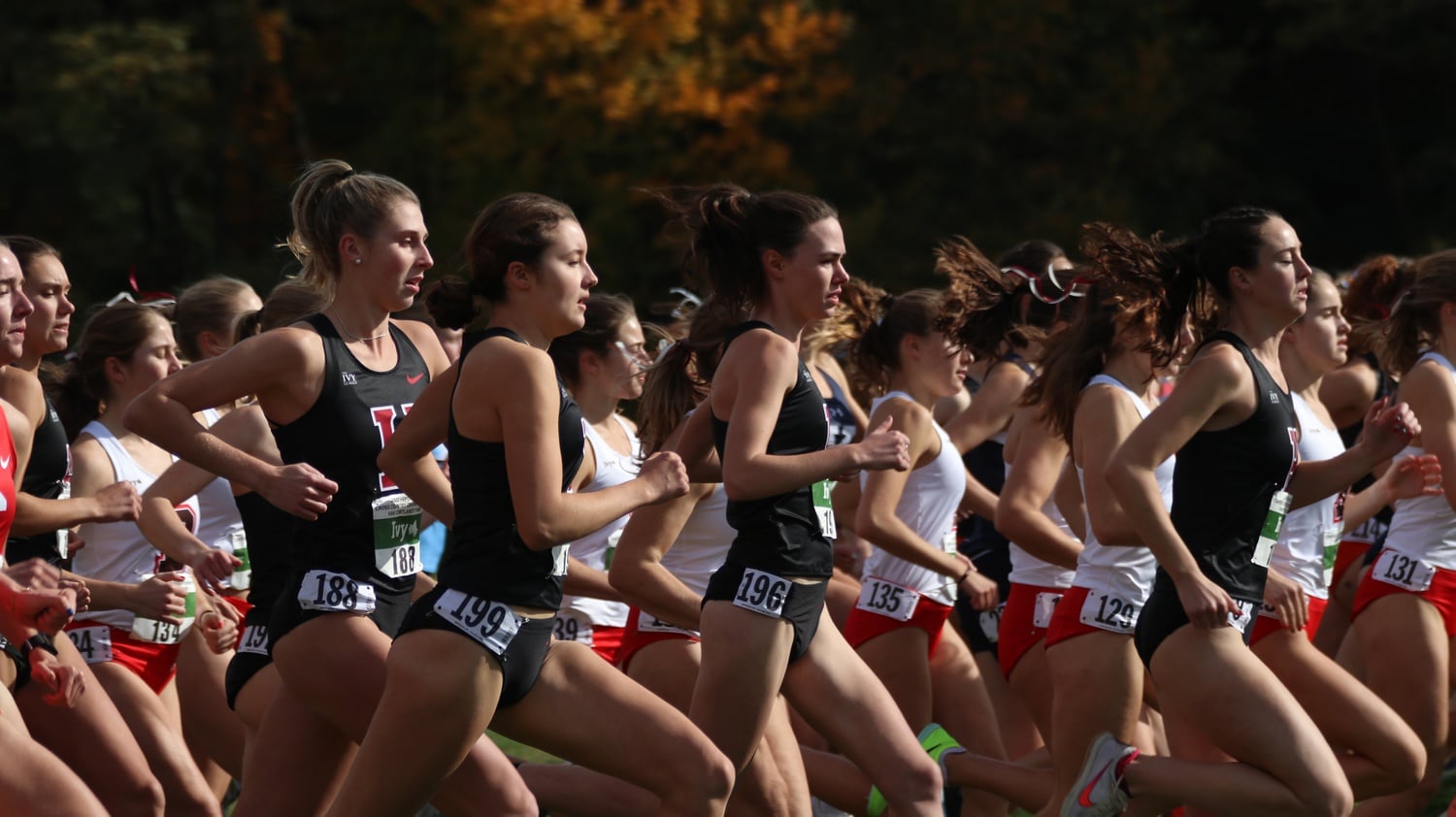 Harvard runners compete in the Ivy League Heptagonal Championships on Oct. 28, 2022. In that event, the women won the conference while the men came second. Led by then-junior Maia Ramsden and then-sophomore Graham Blanks, these Crimson athletes now captain the 2023-24 teams.