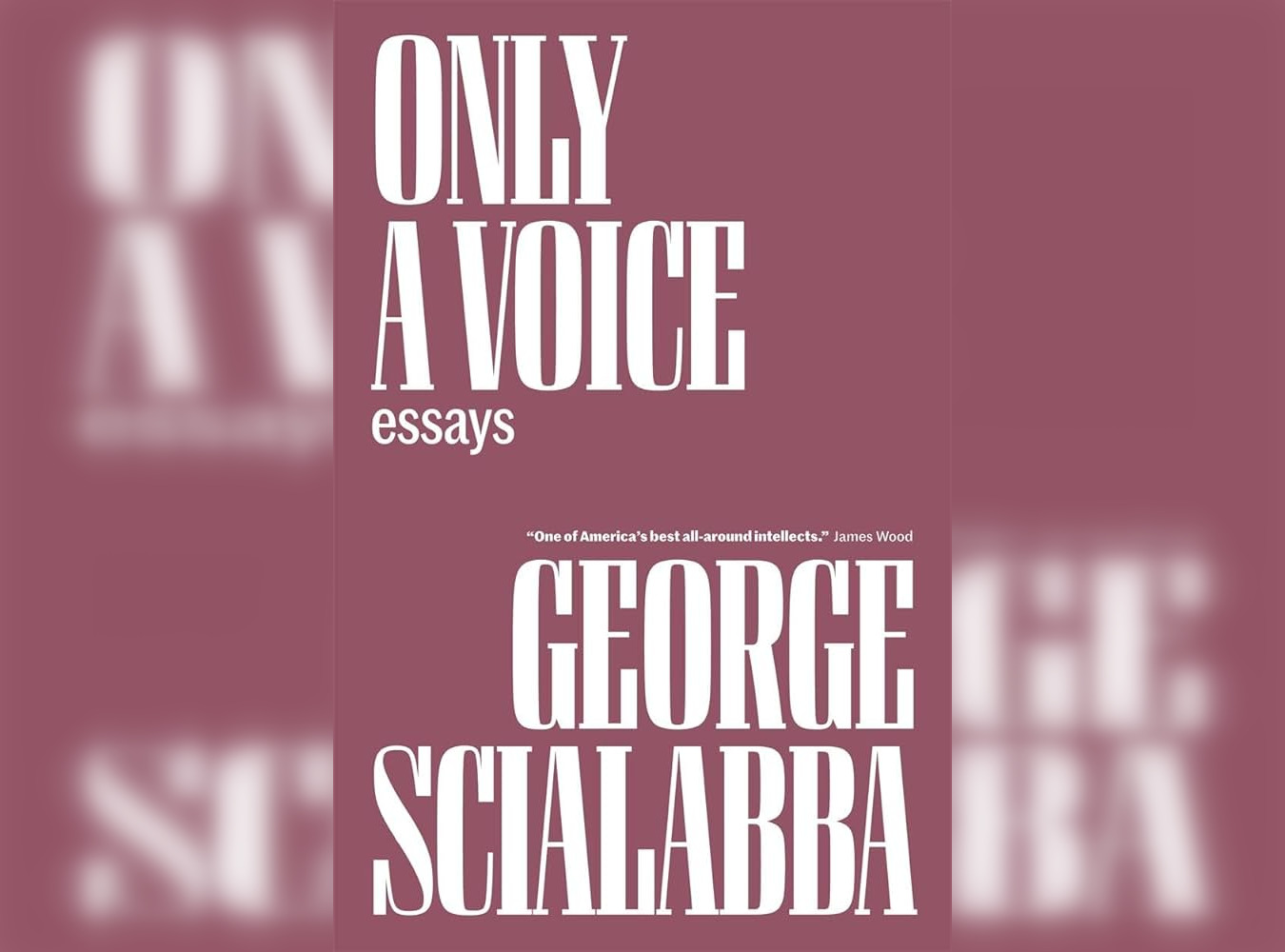 Cover of George Scialabba's "Only a Voice."