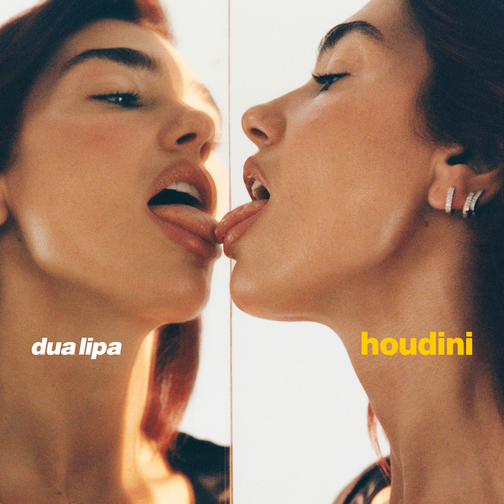 Dua Lipa released the single "Houdini" on Nov. 9.
