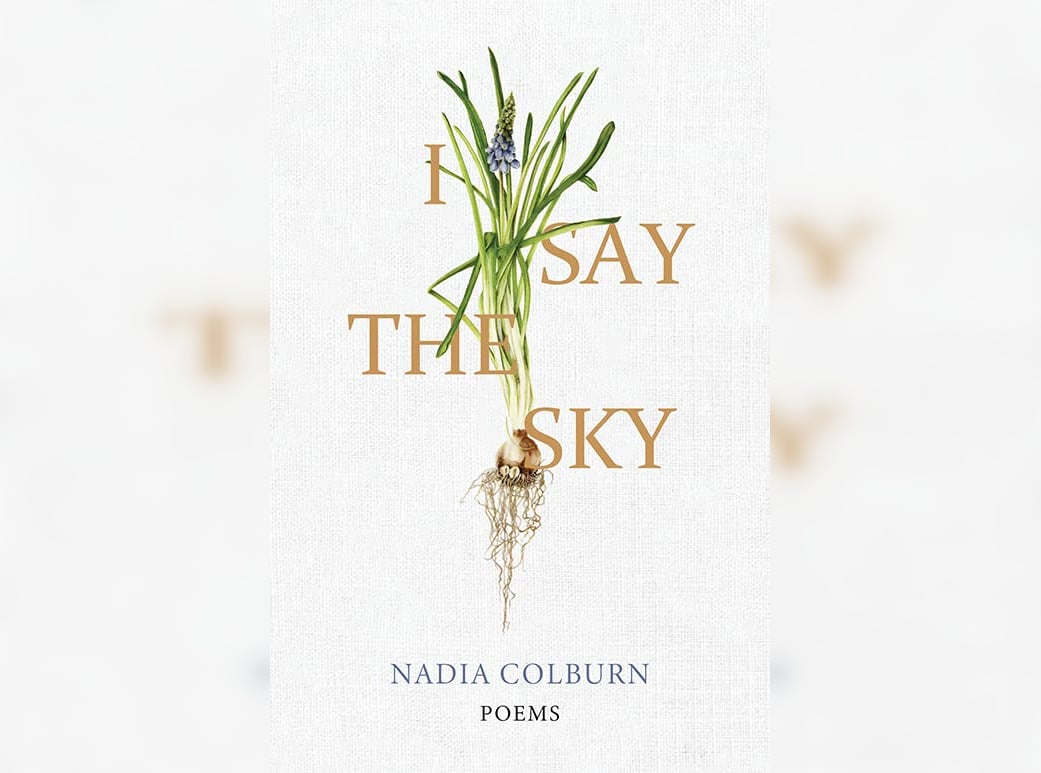 Cover of Nadia Colburn's "I Say the Sky."