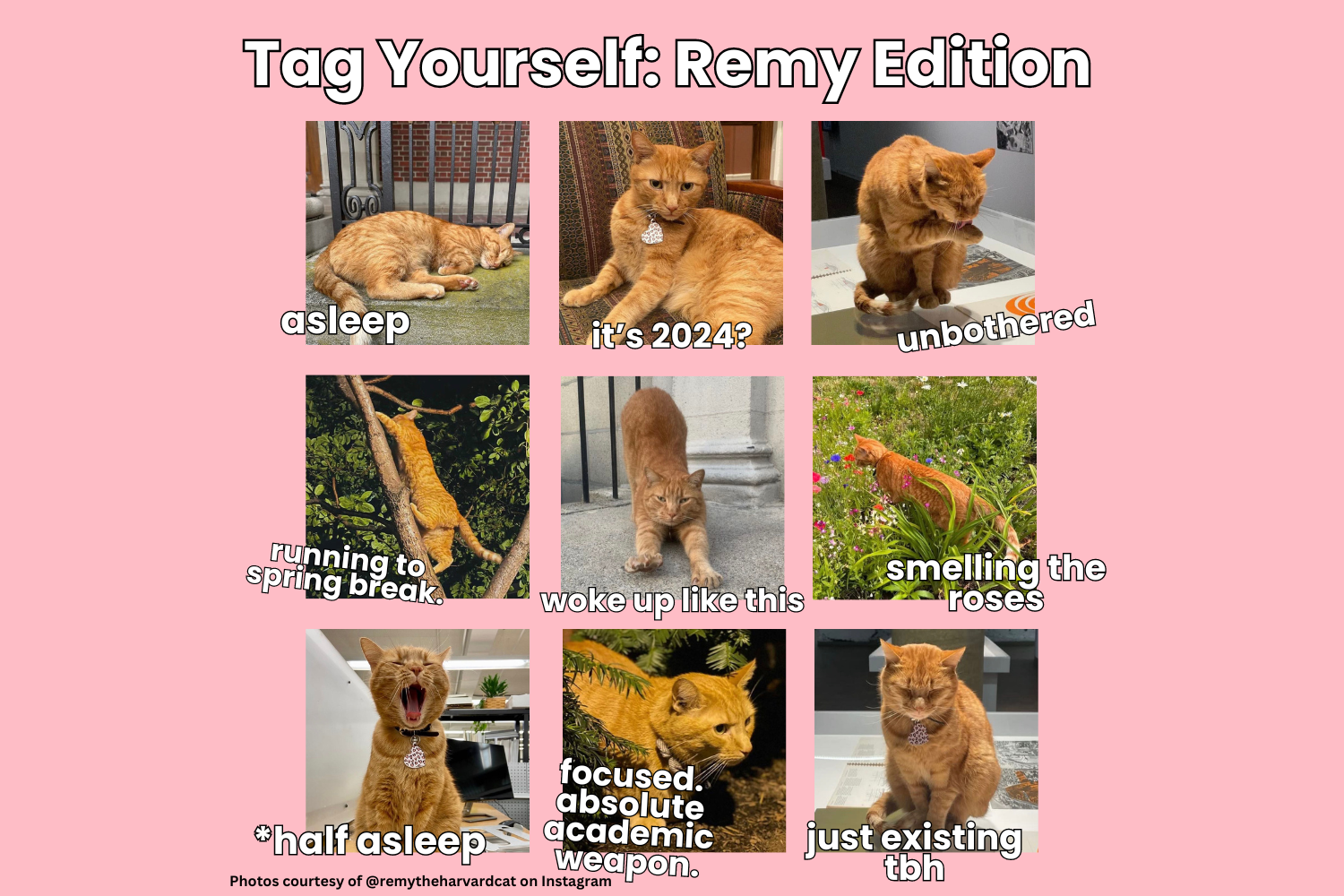 tag yourself remy