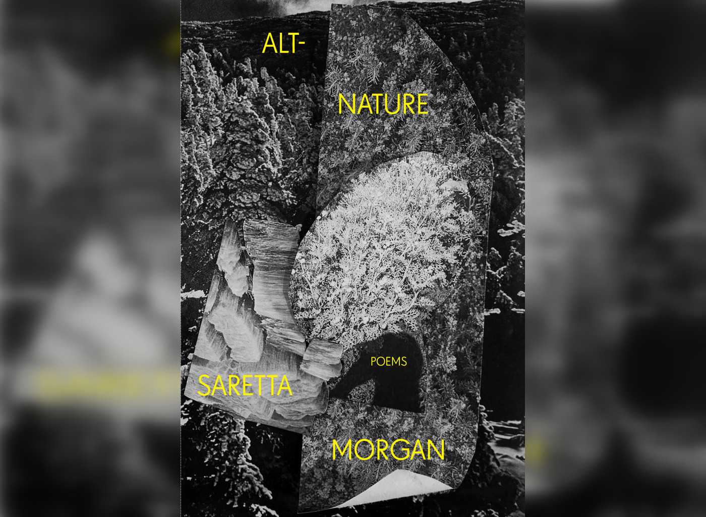 "Alt-Nature" by Saretta Morgan