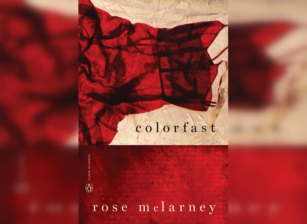 Cover of Colorfast by Rose McLarney