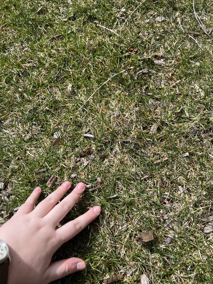 Grass is so soft