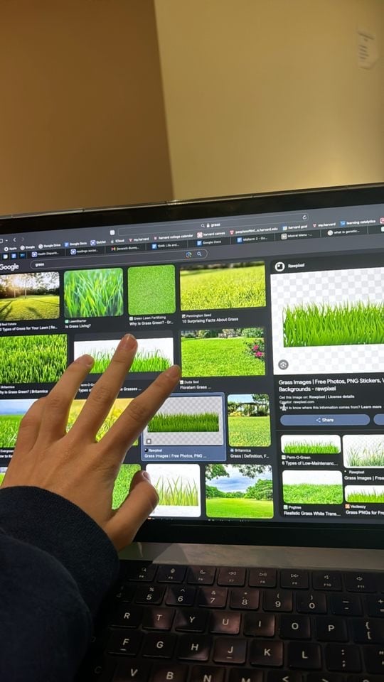Grass-ception part 1