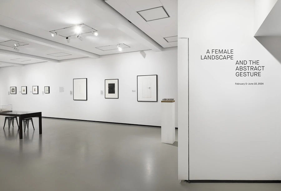 Installation view, "A Female Landscape and the Abstract Gesture," 2024.