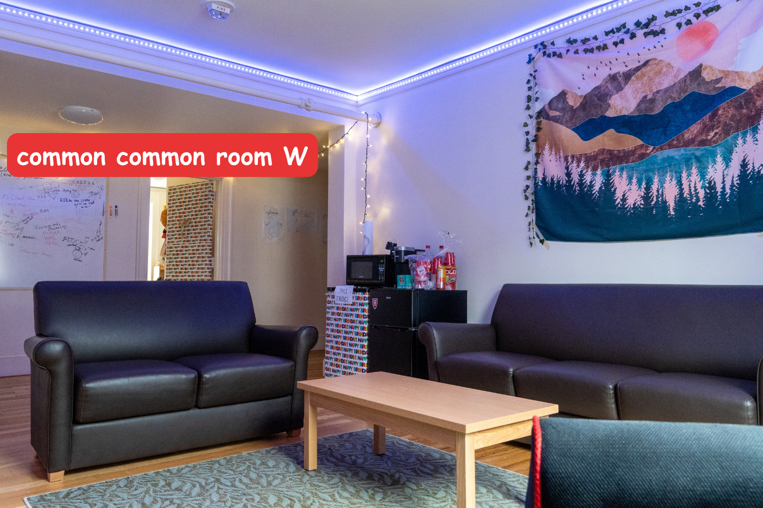 Common Common Room W