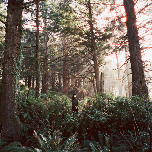 Haley Heynderickx released "Seed of a Seed" on Nov. 1.