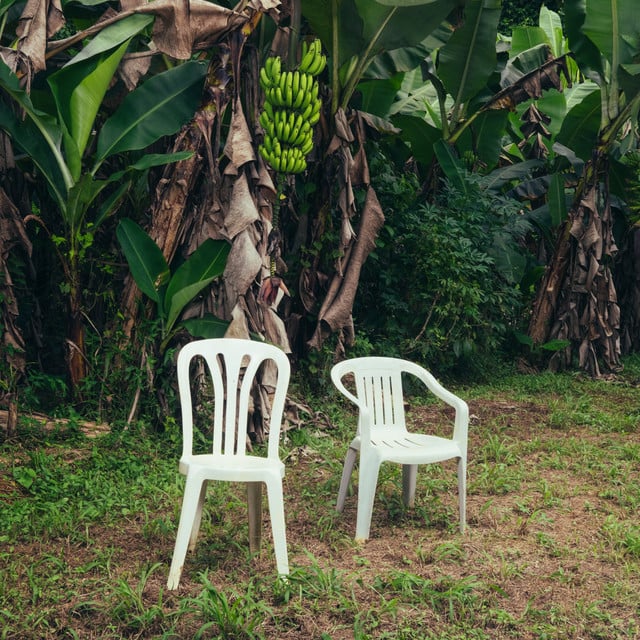 Bad Bunny released "DeBÍ TiRAR MáS FOToS" on Jan. 5.
