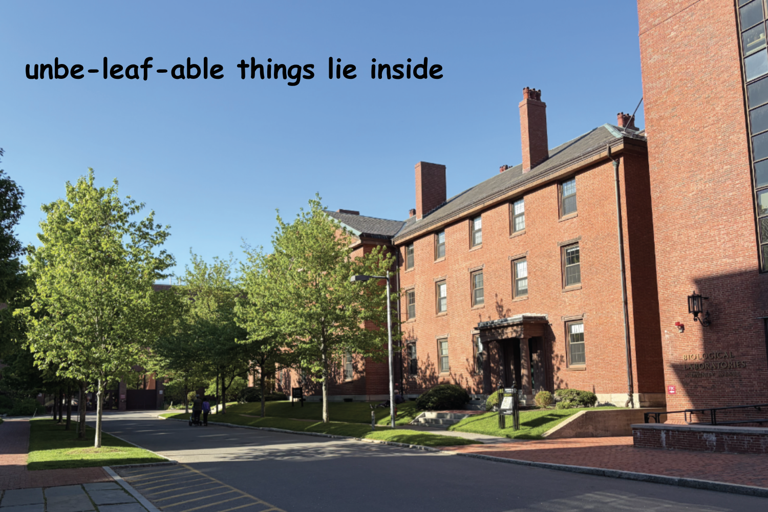 Unbe-leaf-able treasures