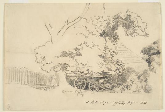 Cornelius Varley, At Parton Hall, Staffordshire, 1820. Black chalk on cream wove paper. Harvard Art Museums/Fogg Museum, Benjamin and Lilian Hertzberg Purchase Fund, 2021.517.